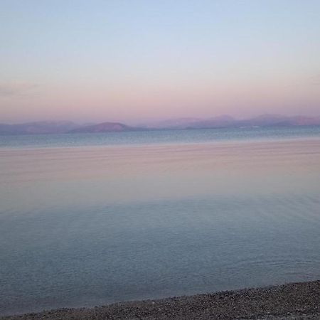 Lithino Apartments - 5Min From The Beach Agios Ioannis Peristeron  Bagian luar foto