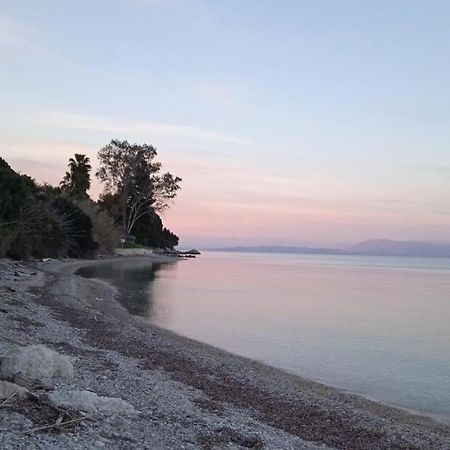Lithino Apartments - 5Min From The Beach Agios Ioannis Peristeron  Bagian luar foto