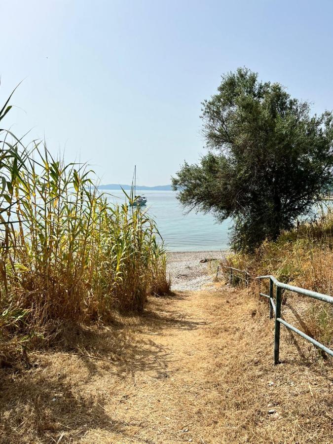 Lithino Apartments - 5Min From The Beach Agios Ioannis Peristeron  Bagian luar foto