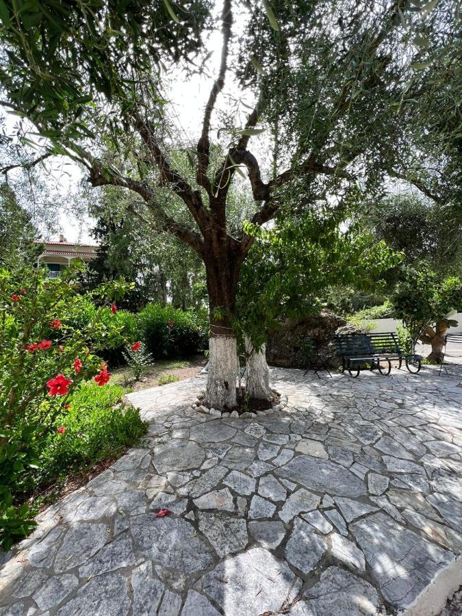 Lithino Apartments - 5Min From The Beach Agios Ioannis Peristeron  Bagian luar foto